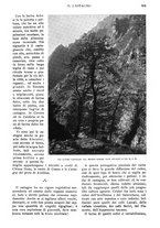 giornale/RAV0108470/1924/unico/00000537