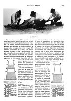 giornale/RAV0108470/1925/unico/00000257