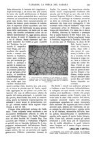 giornale/RAV0108470/1925/unico/00000405