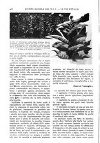 giornale/RAV0108470/1925/unico/00000430