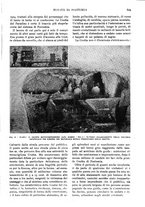 giornale/RAV0108470/1925/unico/00000641