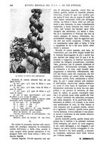 giornale/RAV0108470/1925/unico/00000660