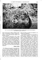 giornale/RAV0108470/1925/unico/00001021