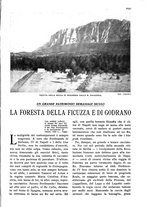 giornale/RAV0108470/1925/unico/00001053