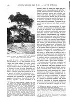 giornale/RAV0108470/1925/unico/00001208