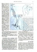 giornale/RAV0108470/1926/unico/00000209