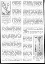 giornale/RAV0108470/1926/unico/00000296