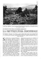 giornale/RAV0108470/1926/unico/00000399