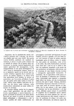 giornale/RAV0108470/1926/unico/00000403