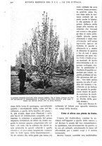 giornale/RAV0108470/1926/unico/00000410