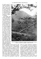 giornale/RAV0108470/1926/unico/00000411