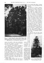 giornale/RAV0108470/1926/unico/00000518