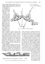 giornale/RAV0108470/1926/unico/00000533