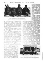 giornale/RAV0108470/1926/unico/00000668