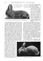 giornale/RAV0108470/1926/unico/00000670