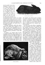 giornale/RAV0108470/1926/unico/00000671
