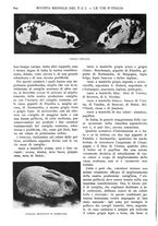 giornale/RAV0108470/1926/unico/00000672