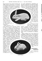 giornale/RAV0108470/1926/unico/00000674