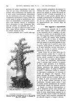 giornale/RAV0108470/1926/unico/00000762