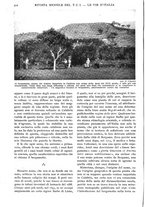 giornale/RAV0108470/1927/unico/00000326