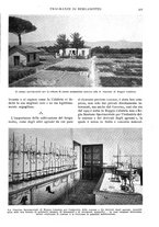 giornale/RAV0108470/1927/unico/00000331