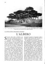 giornale/RAV0108470/1927/unico/00000564