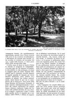 giornale/RAV0108470/1927/unico/00000565