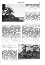 giornale/RAV0108470/1928/unico/00000031