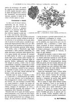 giornale/RAV0108470/1928/unico/00000081