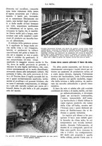 giornale/RAV0108470/1928/unico/00000185
