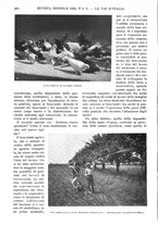 giornale/RAV0108470/1928/unico/00000476