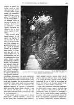 giornale/RAV0108470/1928/unico/00000585