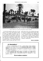 giornale/RAV0108470/1928/unico/00000919