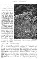 giornale/RAV0108470/1931/unico/00000135
