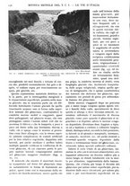 giornale/RAV0108470/1931/unico/00000178