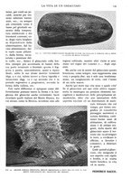 giornale/RAV0108470/1931/unico/00000179