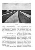 giornale/RAV0108470/1931/unico/00000487