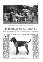 giornale/RAV0108470/1931/unico/00000619