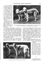 giornale/RAV0108470/1931/unico/00000623