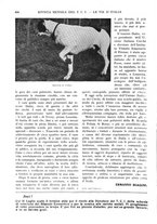 giornale/RAV0108470/1931/unico/00000624