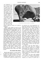 giornale/RAV0108470/1931/unico/00000669