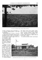 giornale/RAV0108470/1931/unico/00001061