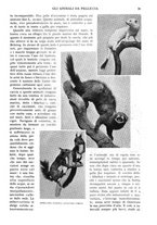 giornale/RAV0108470/1932/unico/00000051