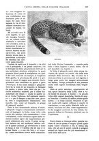 giornale/RAV0108470/1932/unico/00000429