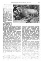 giornale/RAV0108470/1932/unico/00000431