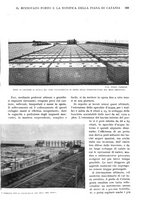 giornale/RAV0108470/1933/unico/00000183