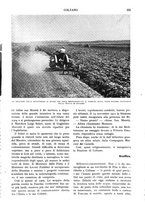 giornale/RAV0108470/1933/unico/00000239