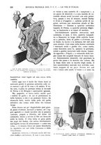 giornale/RAV0108470/1933/unico/00000276