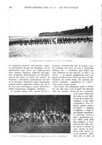 giornale/RAV0108470/1933/unico/00000448