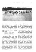 giornale/RAV0108470/1933/unico/00000449